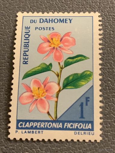 Дагомея. Флора. Цветы. Clappertonia Ficifolia