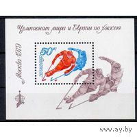 Марка СССР. 1979 год. 4957.  Чемпионат мира и Европы по хоккею  1 блок