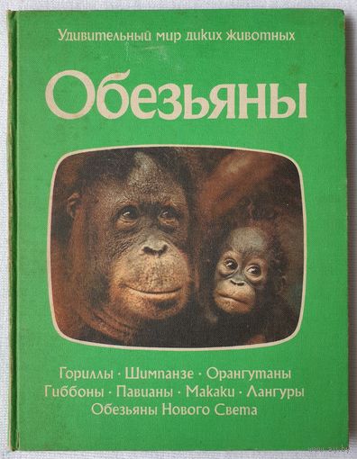 Обезьяны | Удивительный мир диких животных | Нейпье