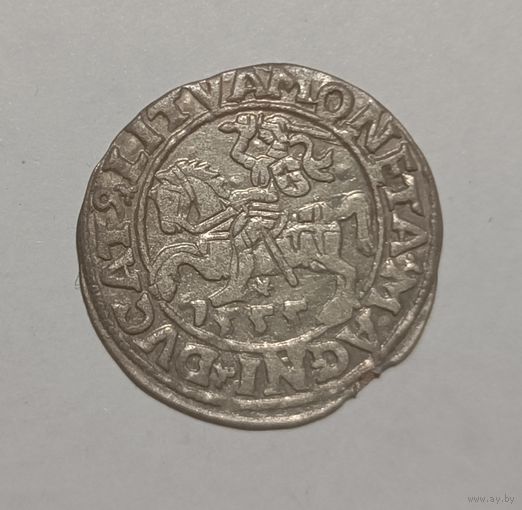 Паўгрошы Жыгiмонта II. 1555, Вильно. Хороший и не частый