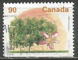 Канада. Фруктовое дерево. Груша. 1992г. Mi#1342 D.