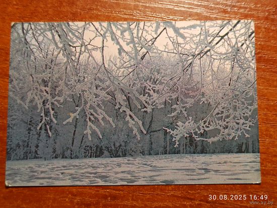 Календарик 1989 Иней