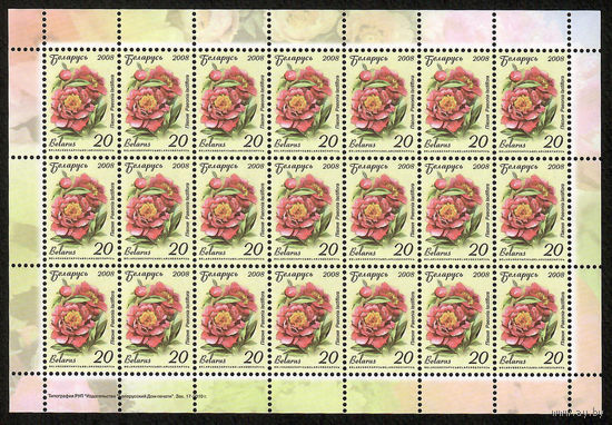 Беларусь. 2008. Стандарт. Пион (20р) (з.17-2010) Лист