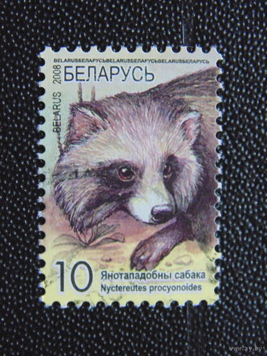Беларусь 2008 г. Стандарт.