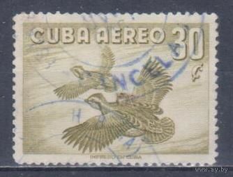 [806] Куба 1956. Фауна.Птицы.Рябчики. Гашеная марка.