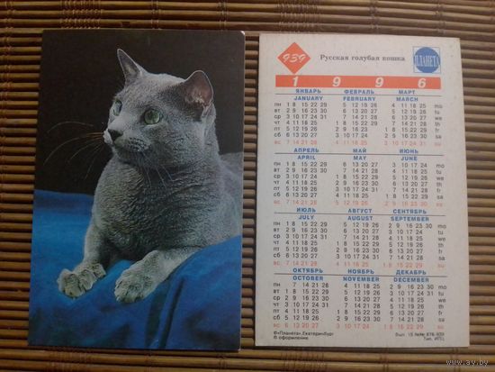 Карманный календарик.Котик.1996 год