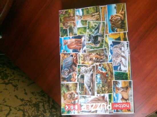 Пазл Дикие кошки 1000