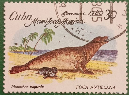 Куба 1980. Фауна. Foca Antillana. Марка из серии
