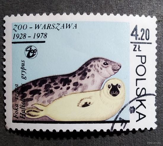 Марка Польша 1978 год 50 лет Варшавскому зоопарку
