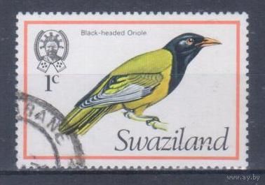 [1977] Свазиленд 1976. Фауна.Птицы.Черноголовая иволга. Гашеная марка.