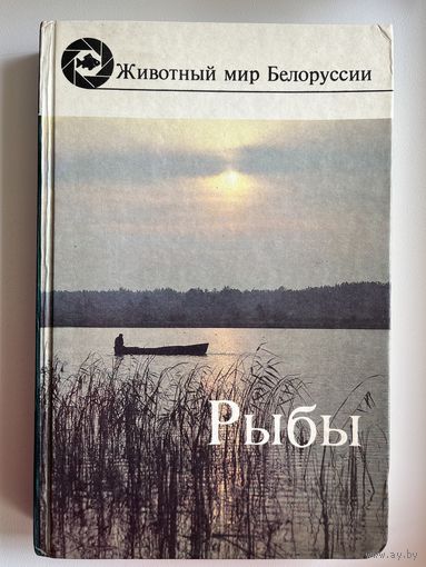 Рыбы. Животный мир Белоруссии