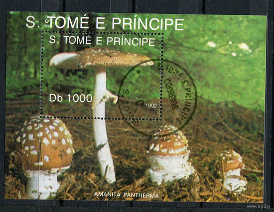 Сан Томе и Принсипи - 1992 - Грибы - [Mi. bl. 283] - 1 блок. Гашеный.