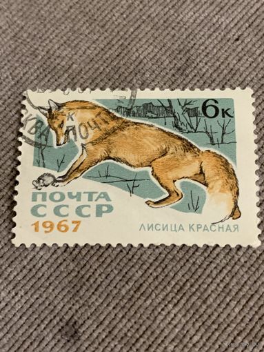 СССР 1967. Лисица красная. Марка из серии