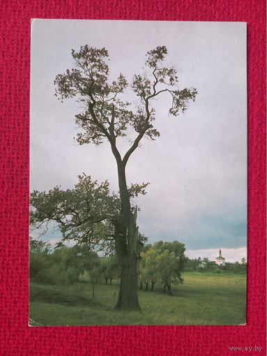 Пасмурный день. Селени 1987 г. Чистая. К-1