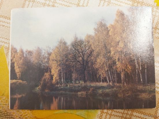 Открытка. Фото В. Давыдова. Осень. 1986 г.