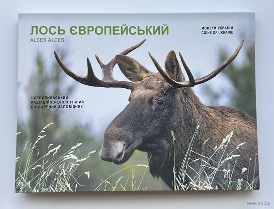 Украина 5 гривен 2025 года (Чернобыльский заповедник. Лось европейский)