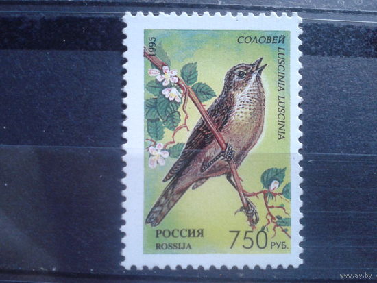 Россия 1995 Соловей**