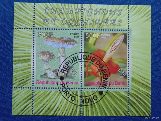 Бенин 2008г. Флора.