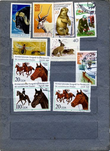 ГДР,  ФАУНА,   м, 10м по 20 коп шт гашен