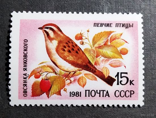 Марка СССР 1981 год Птицы