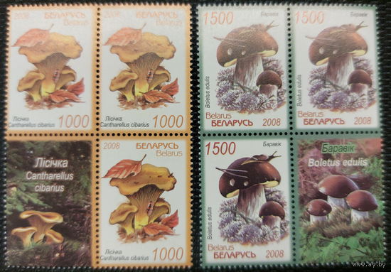 Беларусь 2008  Грибы (кварты с купоном)