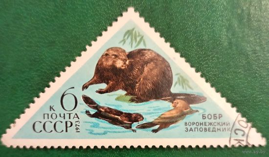 СССР 1973. Воронежский заповедник. Бобр. Марка из серии