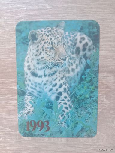 Календарик 1993