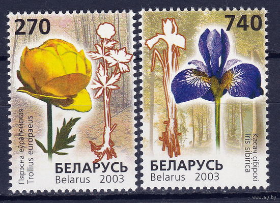 Беларусь 2003 Красная книга. Цветы (2)