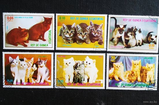 Марки Экваториальная Гвинея 1976 год Кошки