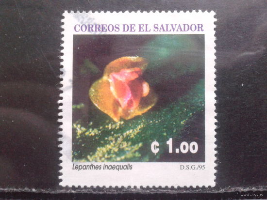 Сальвадор, 1995. Орхидея