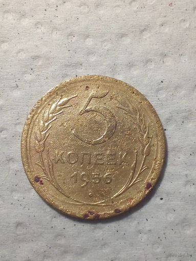 5 копеек  СССР 1956 год