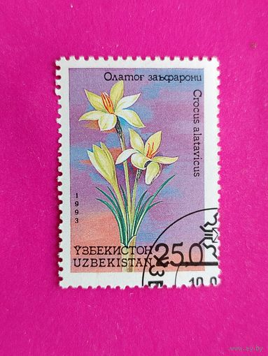 Узбекистан. Цветы. ( 1 марка ) 1993 года. 7-9.