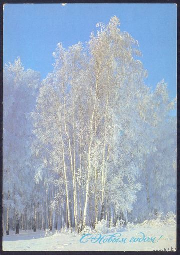 СССР ДМПК 1988 С Новым годом !  берёзы в снегу /подписана /