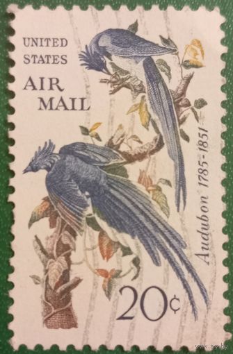 США 1967. Джон Джеймс Одюбона. Колумбийские сойки