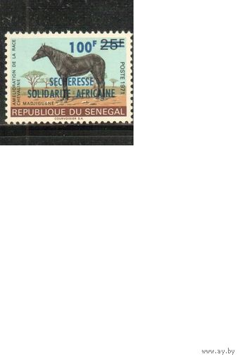 Сенегал-1973 (Мих.,525) ,  ** , Фауна, Лошади, Надп.(одиночка)
