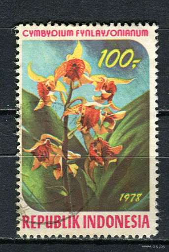 Индонезия - 1978 - Цветы. Орхидеи 100R - [Mi.915] - 1 марка. Гашеная.  (Лот 29FJ)-T25P19