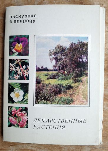 Набор открыток "Экскурсия в природу. Лекарственные растения." 1977 г. 25 откр.
