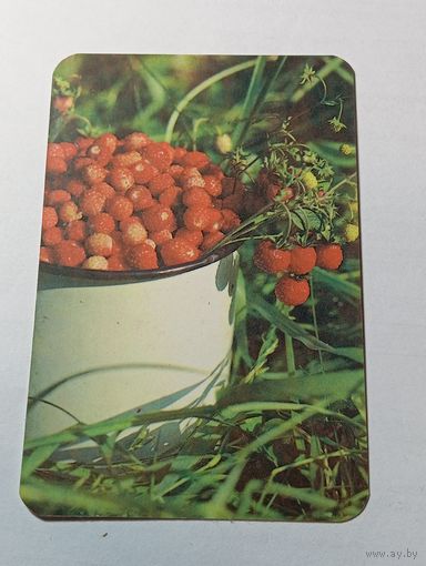 Карманный календарик  . 1991 года .