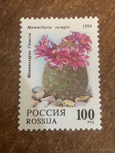 Россия 1994. Маммиллярия Свингла. Марка из серии