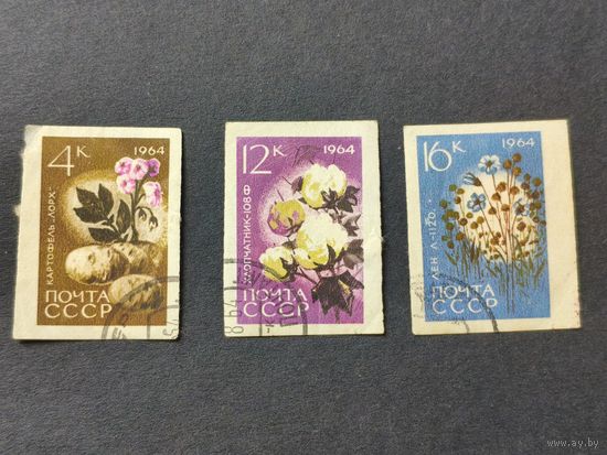 1964 СССР. Сельскохозяйственные растения. Беззубцовые