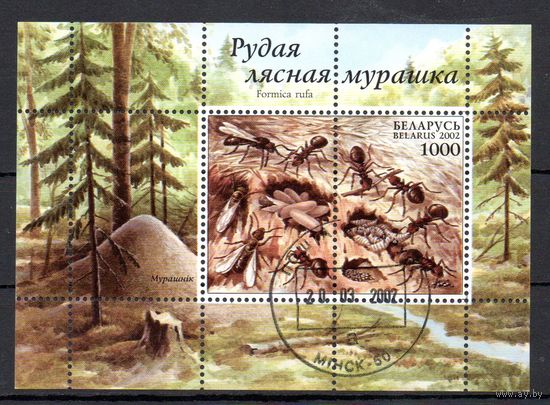 Рыжий лесной муравей Беларусь 2002 год (461-462) 1 блок