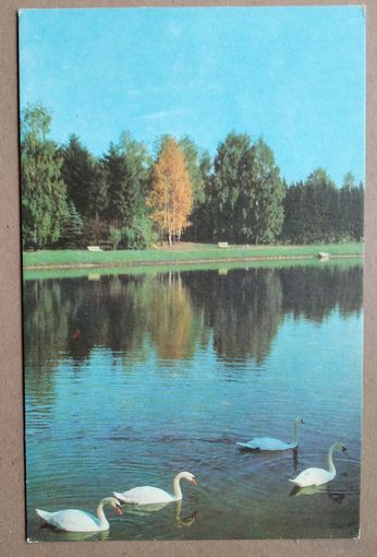 Минск. В ботаническом саду. 1977 г. Чистая