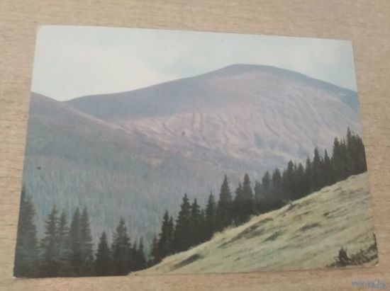 Открытка Закарпаття Гора Говерла фото Федорова 1970г