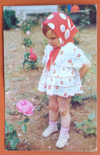 Цветы. Дети. 1968 г. Чистая.