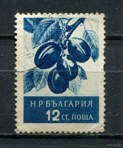Болгария - 1956 - Сливы 12St - [Mi.991] - 1 марка. Гашеная.  (Лот 22Fd)-T25P12