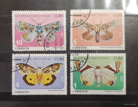 Куба. 1979 год. Фауна. Бабочки (179)