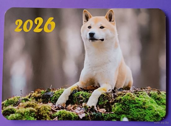 Собака. Календарик, глянец, 2026.ТРАСКО