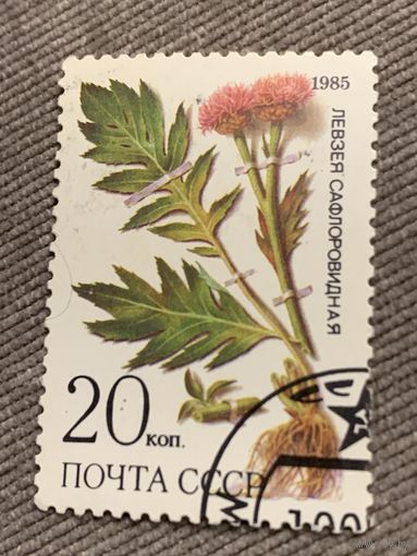 СССР 1985. Левзея сафлоровидная. Марка из серии