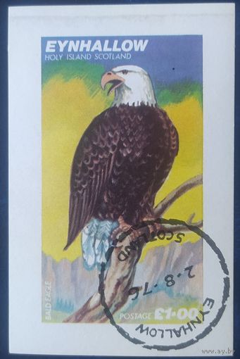 Шотландия Scotland 1976  Птицы  .