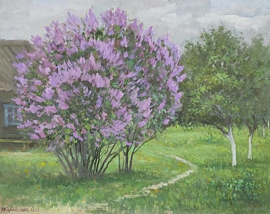 Зацвела сирень